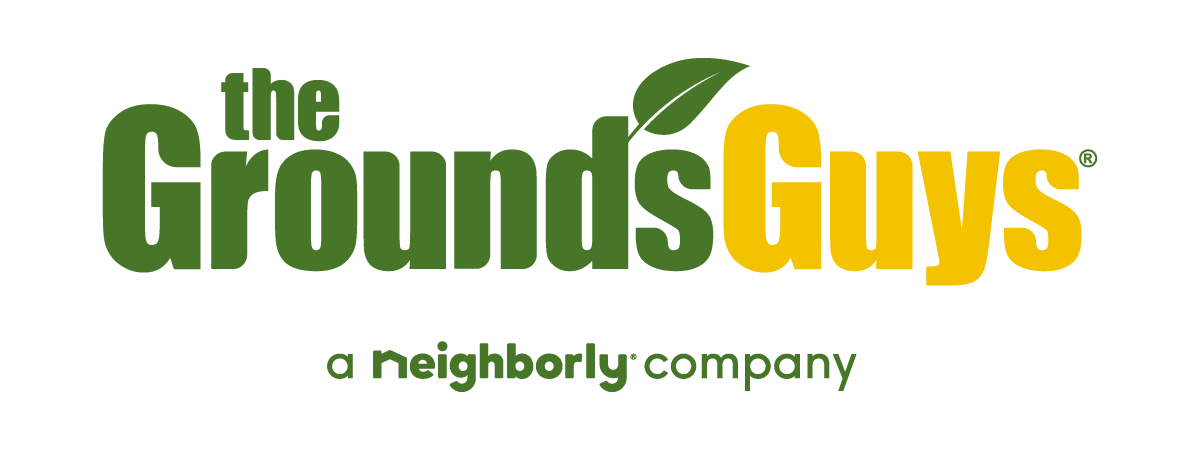 GUY-Logo-RGB-Primary-2024
