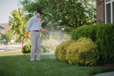 Top Landscaping Franchises to Invest in 2026