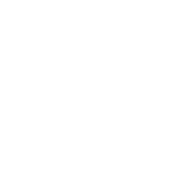 Mosquito Joe