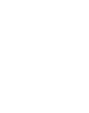 Window Genie