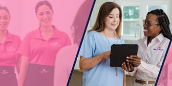 Molly Maid Franchise Guide