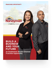 MrHandyManGuideImage