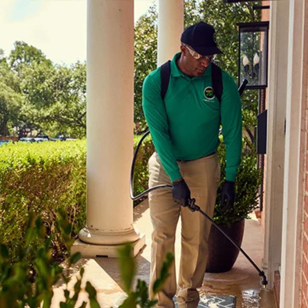 Untitled (Facebook Video) (4)