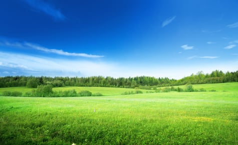 The Future is Green: 5 Reasons to Buy a Sustainable Business