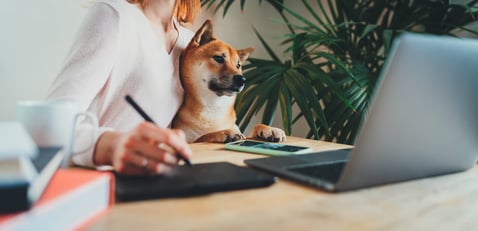 How to Start a Home-Based Business