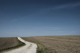 road.jpg