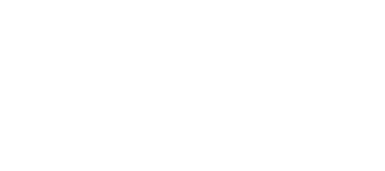 Molly Maid