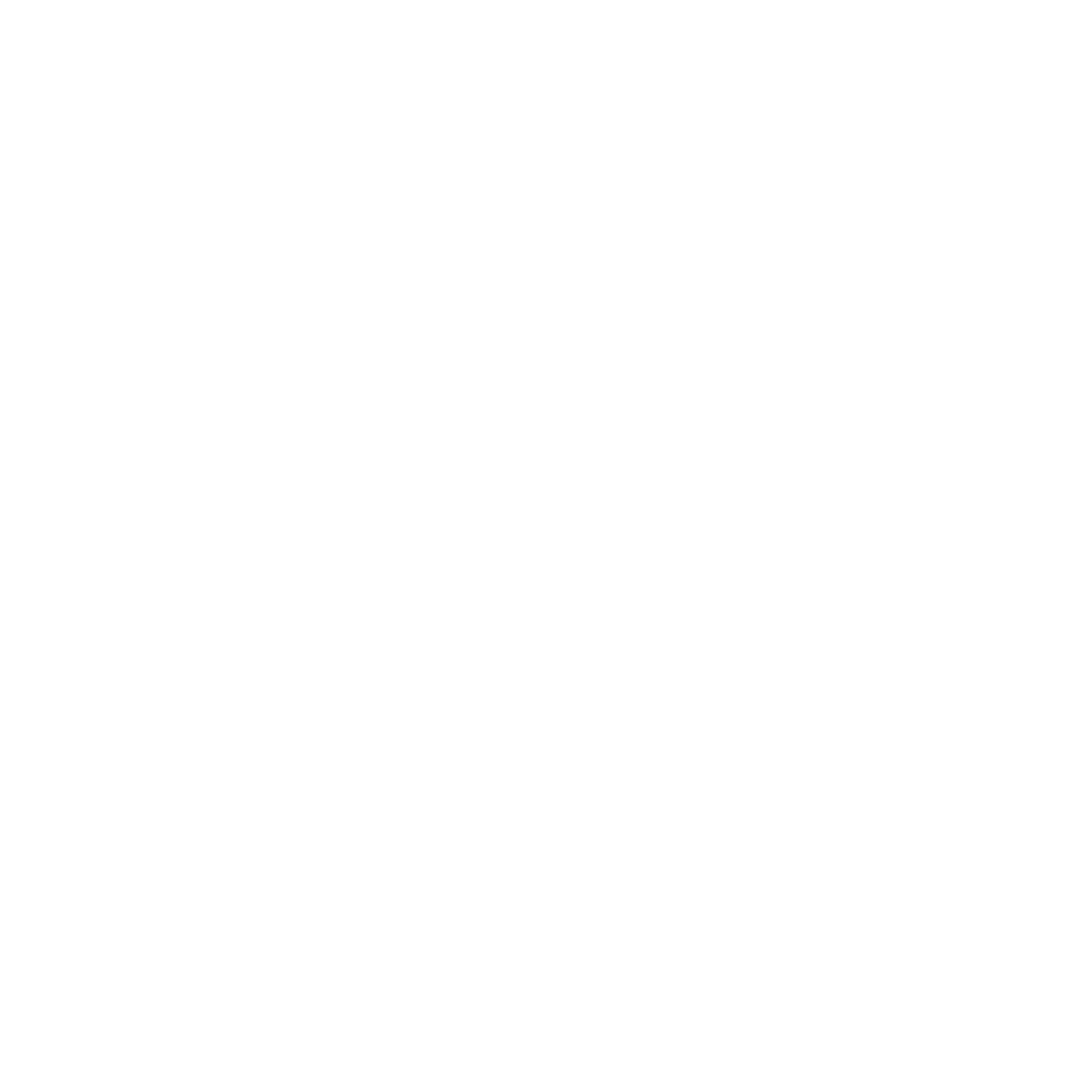 Mosquito Joe